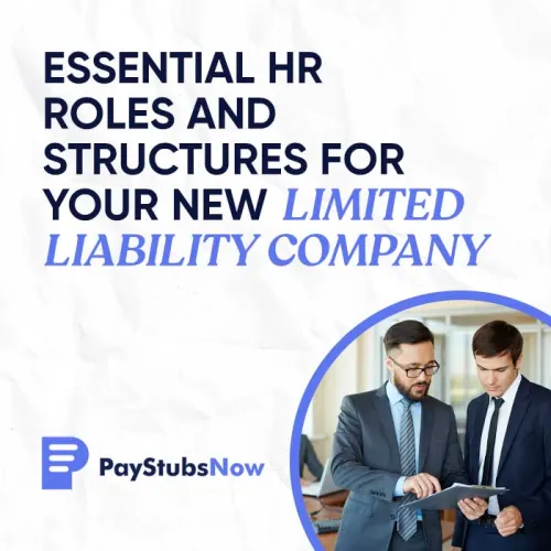 Essential HR Roles and Structures for Your New Limited Liability Company
