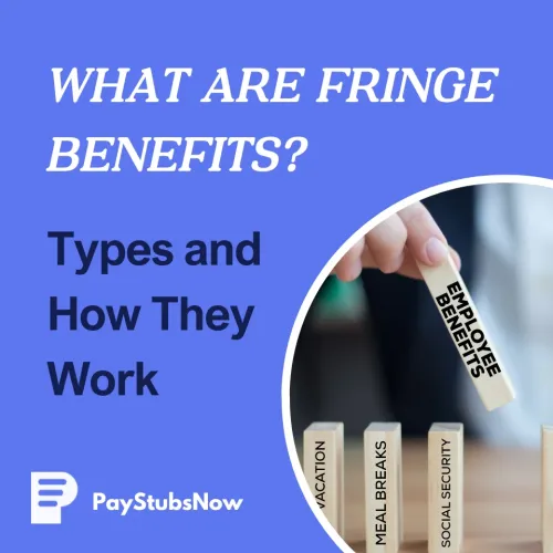What Are Fringe Benefits? Types and How They Work